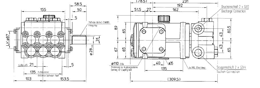 Плунжерный насос Speck NP25/25-250 V