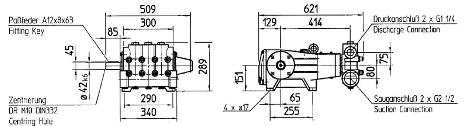 Плунжерный насос Speck P62/140-150